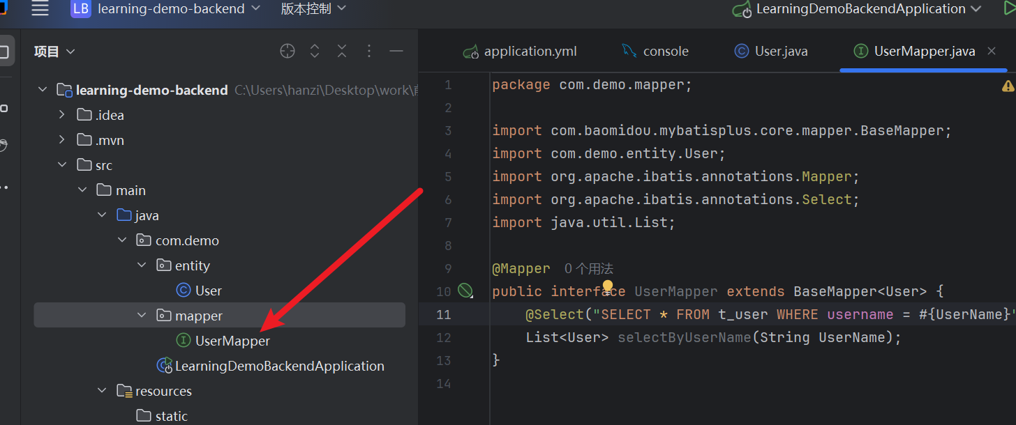 Mapper 接口